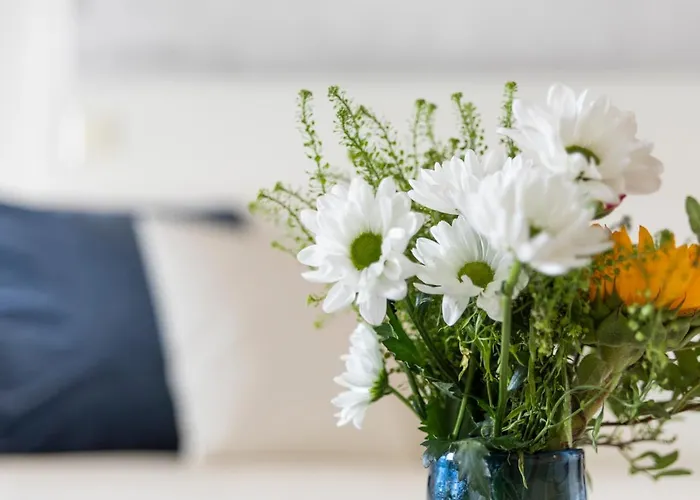 Vasko Luxurious Suites, Rakka Apartamento *